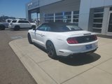 Used 2023 Ford Mustang Premium image 3