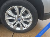 Used 2022 Ford Edge Titanium image 4