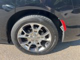Used 2015 Dodge Charger SE w/ Popular Equipment Group image 5