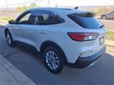 Used 2020 Ford Escape SE image 4