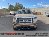 Used 2011 Ford F150 Lariat w/ Lariat Chrome Pkg image 2