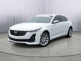 Certified 2024 Cadillac CT5 Luxury w/ Sun And Sound Package image 1