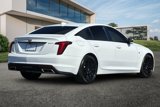 Certified 2024 Cadillac CT5 Luxury w/ Sun And Sound Package image 4
