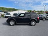 Used 2011 Ford Escape XLT w/ 201A Rapid Spec Order Code image 5
