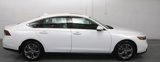 Certified 2024 Honda Accord EX image 5