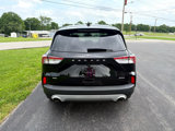 Used 2021 Ford Escape SE image 3