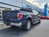 Used 2014 Ford F150 XLT w/ XLT Chrome Package image 6