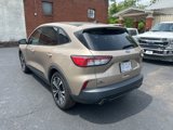 Used 2021 Ford Escape SE w/ SE Sport Appearance Package image 3