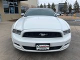 Used 2014 Ford Mustang Premium w/ Equipment Group 201A image 3