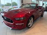 Used 2019 Ford Mustang GT Premium w/ GT Performance Package image 6