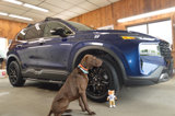 Used 2022 Hyundai Santa Fe XRT w/ Winter Weather Package image 2