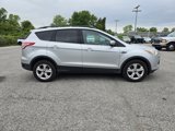 Used 2014 Ford Escape SE w/ Equipment Group 201A image 2