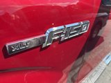 Used 2013 Ford F150 XLT w/ Luxury Equipment Group image 3