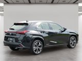 Used 2022 Lexus UX 250h w/ Premium Package image 5