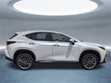 Certified 2022 Lexus NX 350 AWD image 3
