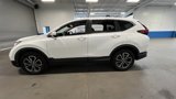 Used 2022 Honda CR-V EX-L image 6