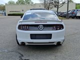 Used 2014 Ford Mustang Premium w/ Equipment Group 203A image 5