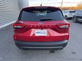 New 2025 Ford Escape ST-Line w/ Tech Pack #1 image 4
