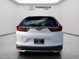 Used 2022 Honda CR-V Special Edition image 3