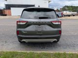 Certified 2021 Ford Escape SE w/ Convenience Package image 3