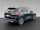 Used 2022 Ford Escape SEL image 5
