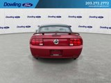 Used 2009 Ford Mustang GT Premium image 2