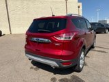 Used 2016 Ford Escape Titanium image 6