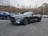 Used 2019 Ford Mustang Premium image 4