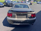 Used 2001 Ford Mustang Cobra image 6