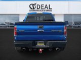 Used 2010 Ford F150 SVT Raptor image 4