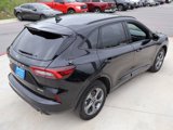 Used 2024 Ford Escape ST-Line w/ Tech Pack #1 image 5