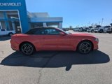 Used 2022 Ford Mustang Premium image 3