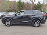 Used 2021 Lexus NX 300 AWD w/ Accessory Package 2 image 4