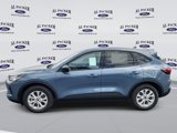 New 2025 Ford Escape Active w/ Tech Pack #1 image 2