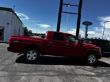 Used 2010 Dodge Dakota Big Horn image 6