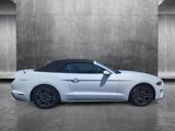 Used 2019 Ford Mustang Premium image 4