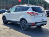Used 2016 Ford Escape SE w/ SE Chrome Package image 4