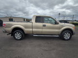 Used 2013 Ford F150 XLT w/ Luxury Equipment Group image 4