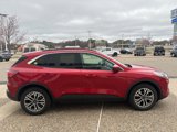 Used 2020 Ford Escape SEL image 3