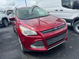 Used 2014 Ford Escape SE w/ Equipment Group 201A image 2