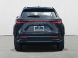 New 2025 Lexus NX 350 AWD w/ Accessory Package (2T) image 6