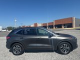 Used 2020 Ford Escape SEL image 5