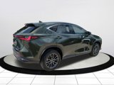 Certified 2025 Lexus NX 250 FWD image 4