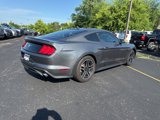 Used 2023 Ford Mustang Premium image 4