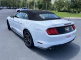 Used 2019 Ford Mustang GT Premium w/ Equipment Group 401A image 3