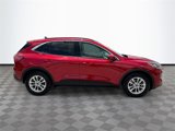 Used 2021 Ford Escape SE image 4