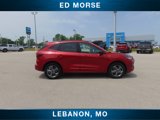 Certified 2024 Ford Escape ST-Line image 5