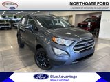 Certified 2022 Ford EcoSport SE image 1