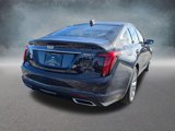 New 2025 Cadillac CT5 Premium Luxury image 5