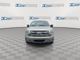 Used 2013 Ford F150 XLT w/ Luxury Equipment Group image 3